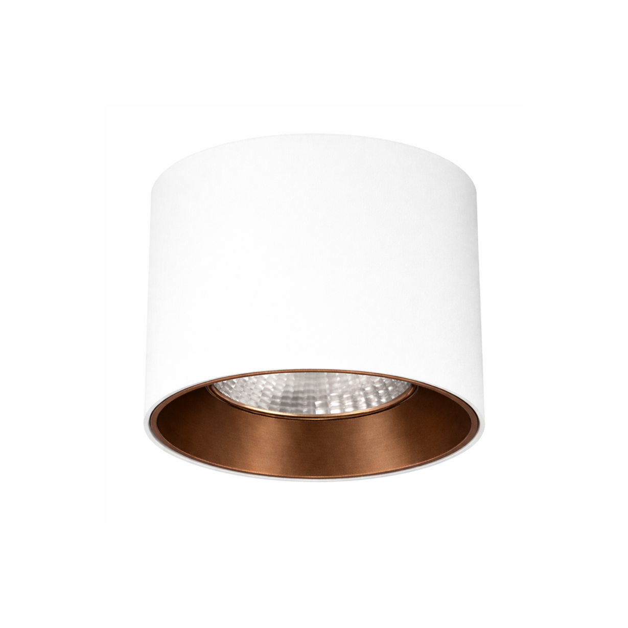 Picture of Polarix 171