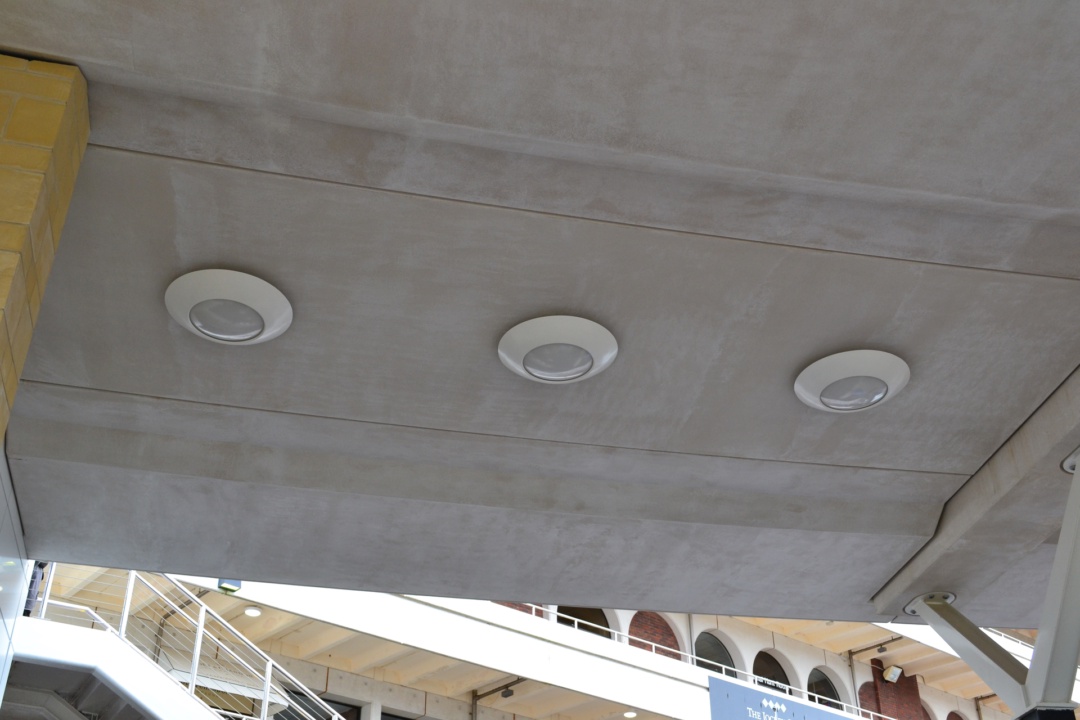 image of Cheltenham Racecourse - Stand and Paddock 
