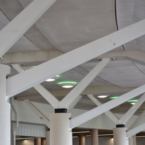 image of Cheltenham Racecourse - Stand and Paddock 
