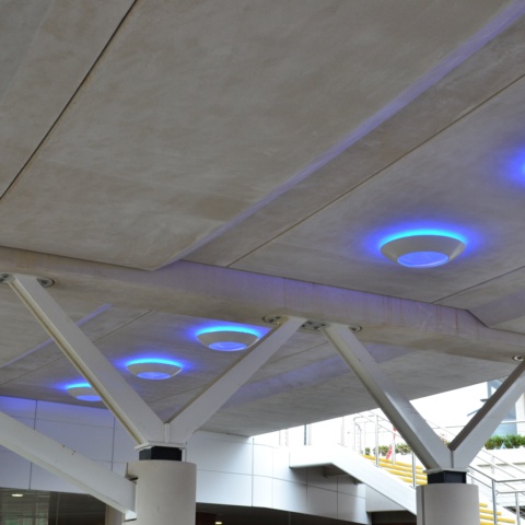 image of Cheltenham Racecourse - Stand and Paddock 
