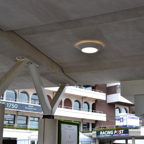 image of Cheltenham Racecourse - Stand and Paddock 
