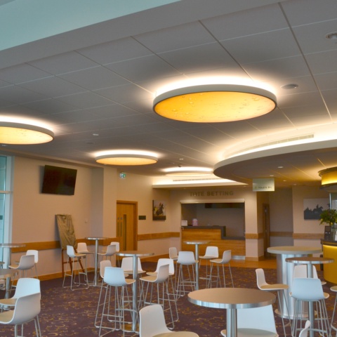 image of Cheltenham Racecourse - Stand and Paddock 
