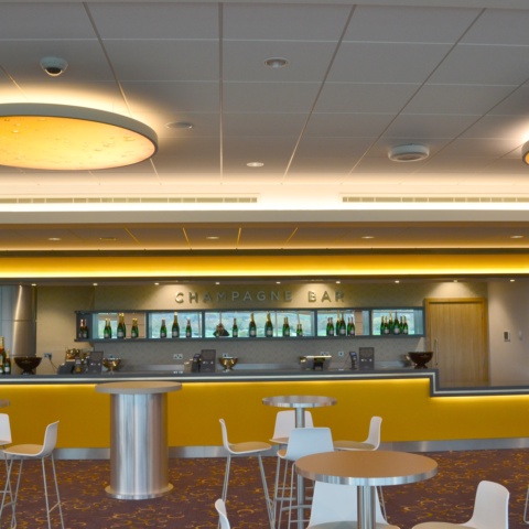 image of Cheltenham Racecourse - Stand and Paddock 
