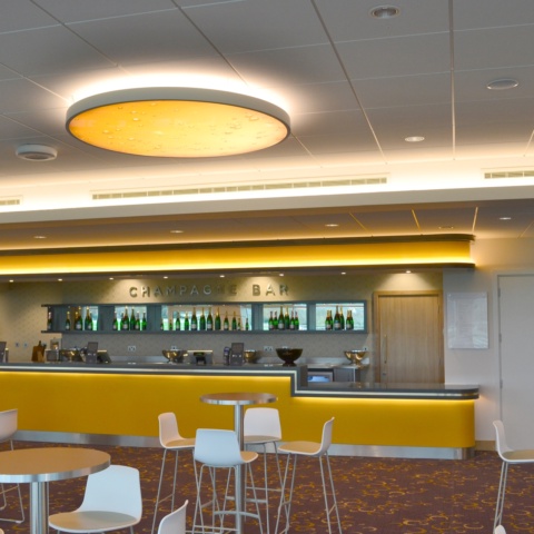 image of Cheltenham Racecourse - Stand and Paddock 
