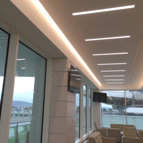 image of Cheltenham Racecourse - Stand and Paddock 
