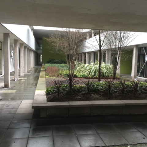 image of Lakeshore - Phase 1