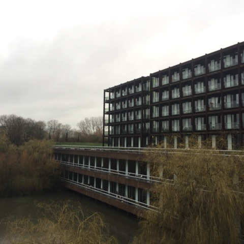 image of Lakeshore - Phase 1