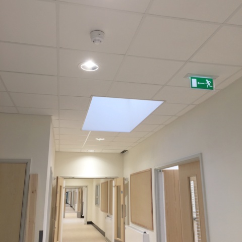 image of Abbey Court School