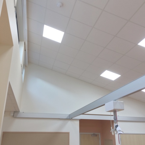 image of Abbey Court School